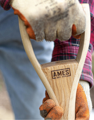 AMES Border Fork - Carbon Steel - image 2