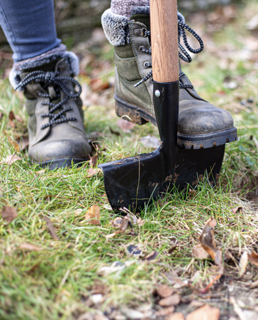 AMES Lawn Edger - Carbon Steel - image 3