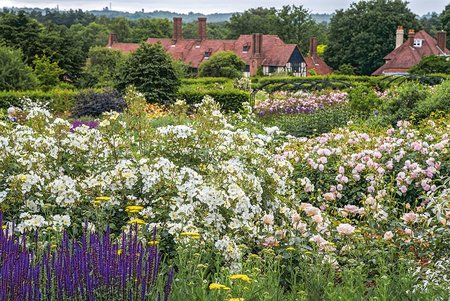 Kew Gardens - image 3