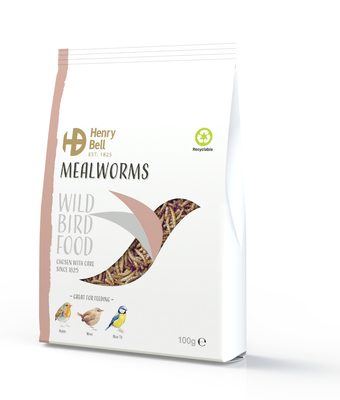 Mealworm 100g