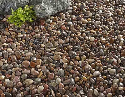 Scottish Tweed Pebbles 20-30mm - image 2